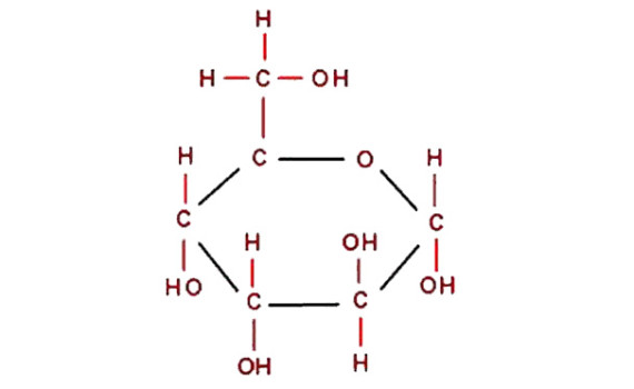 Carbohydrates sugar carbs refined natural processed inflamation diet lifestyle weightloss chiropractor buffalo healthy