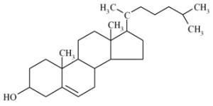Cholesterol