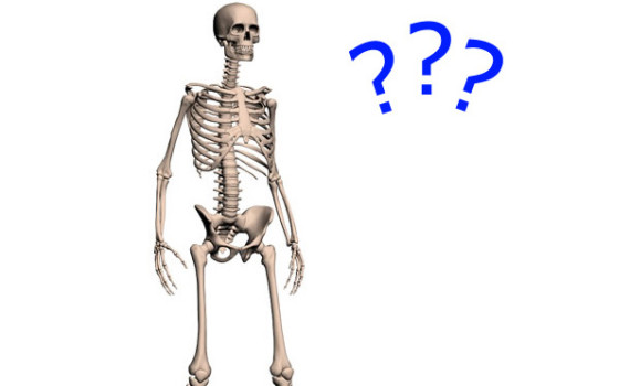 Quick Facts Human Body Herrington Family Chiropractic Chiro Healthy Information Education back pain lumbar cervical