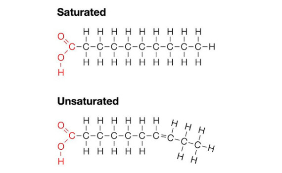 Saturated Unsaturated Herrington Family Chiropractic Healthy Living Clean Eating Nurtitional Ketogenic Anti Inflamatory Back Pain