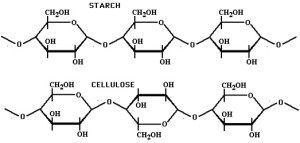 Starch-Cellulose